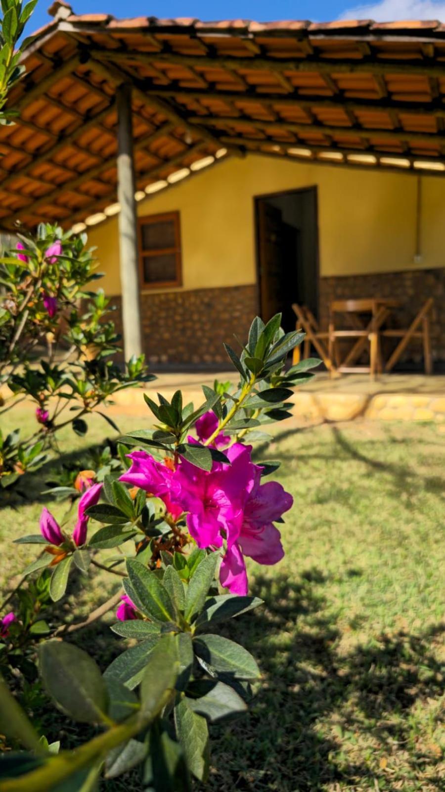 Pousada Velho Chico Vargem Bonita Exteriér fotografie